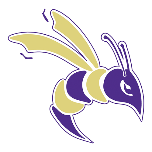 Defiance Yellow Jackets