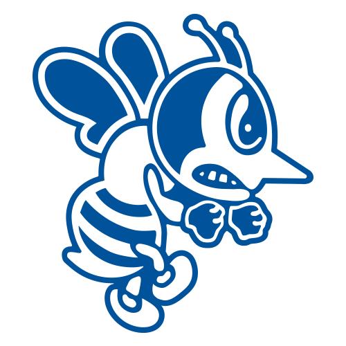 St. Ambrose Fighting Bees