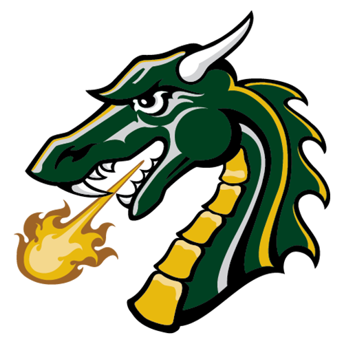 Tiffin Dragons
