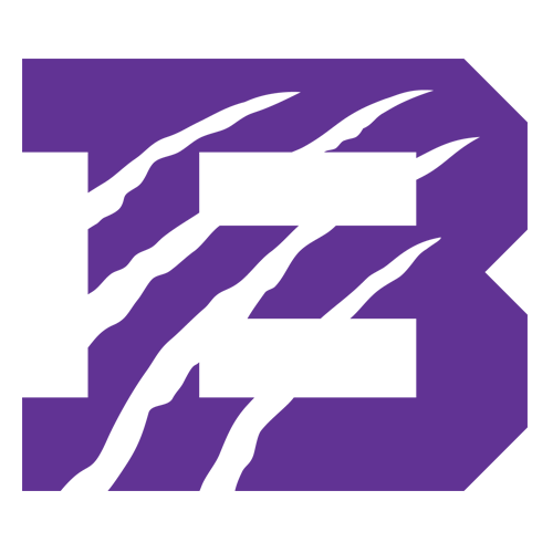 Bethel (TN) Wildcats