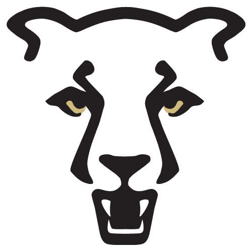 Colorado Colorado Springs Mountain Lions
