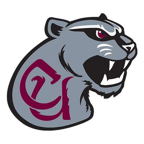Concord Mountain Lions