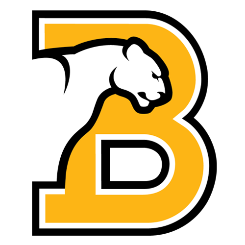 Birmingham Southern Panthers